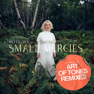 Small Mercies (Art Of Tones Extended Remix)