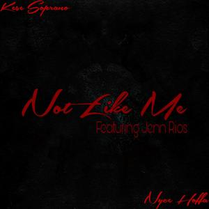 Not Like Me (feat. Nyce Hoffa & Jenn Rios) (Explicit)