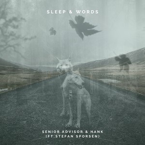 Sleep & Words