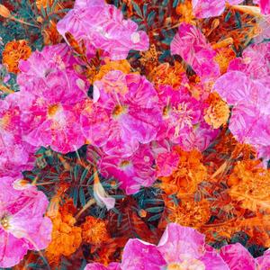 HenkeTooRaw - Garden Hopping