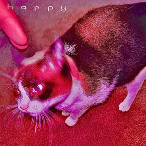 Happy (Explicit)