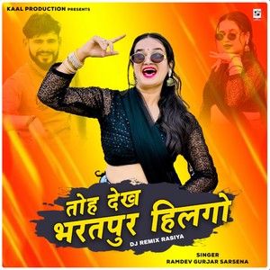 Toye Dekh Bharatpur Hilgo (DJ Remix Rasiya)