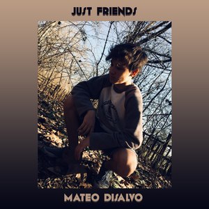 Just Friends