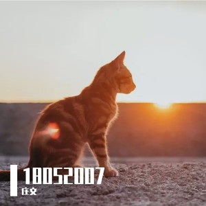 五月二十日，晴