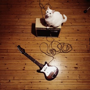 I'd Rather Be a Cat, Pt. i