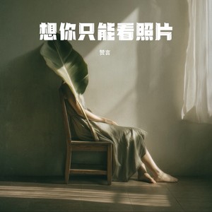 想你只能看照片