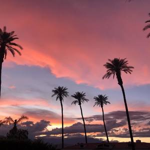 Motion Pic (Explicit)