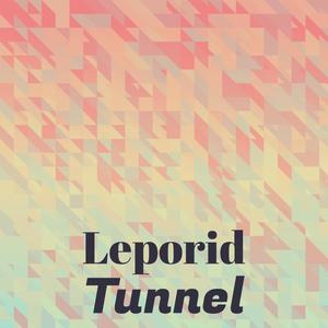 Leporid Tunnel