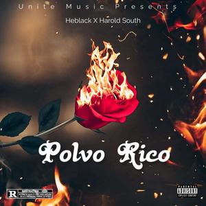 Polvo Rico (feat. Harold South)