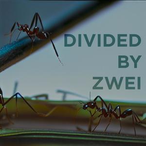 divided by zwei
