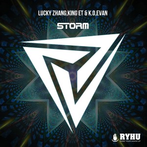 Storm  (Original Mix)