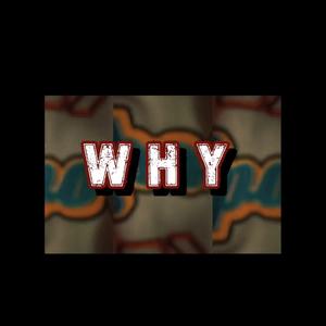 Why (feat. AYEkAYE) (Explicit)