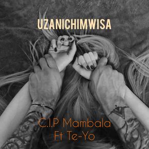 Uzanichimwisa (feat. Te-Yo) (Explicit)