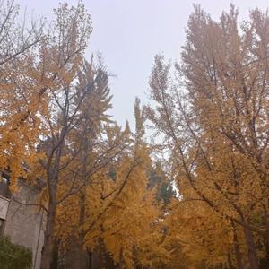 备忘录pt.2 (prod EVOMUSIC)