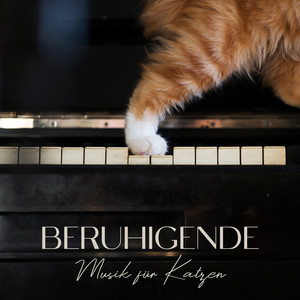 Beruhigende Musik für Katzen (Entspannende Klaviermusik)