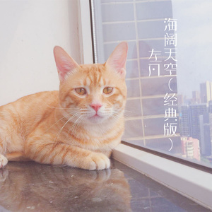 海阔天空 (经典版)