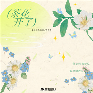 茶花开了-小朋的朋