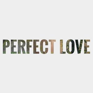 Perfect Love (Extended Version)