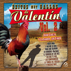 Exitos Muy Gallos de Valentin, Vol. 2