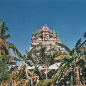 Klein - Intervention