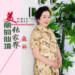 美丽的仙境张家界