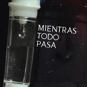 Mientras Todo Pasa(feat. Royé Campero) (New Version)