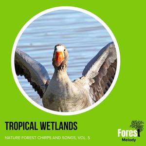 Tropical Wetlands - Nature Forest Chirps and Songs, Vol. 5