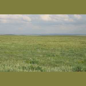 我的羚城我的故乡