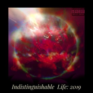 Indistinguishable Life: 2019