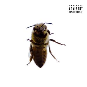 Conversations (Explicit)
