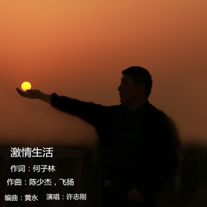 激情生活 (伴奏)