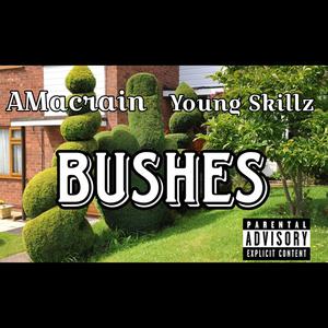 Bushes (Prod. Adrain McFadden) [feat. Young Skillz] [Explicit]