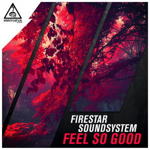 Feel So Good (Original Mix)