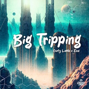 Big Tripping