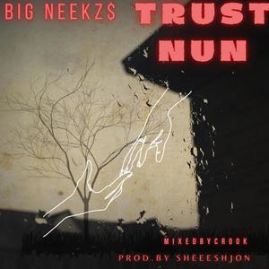 TRUST NUN (feat. SHEEESHJON & MIXEDBYCROOK) (Explicit)