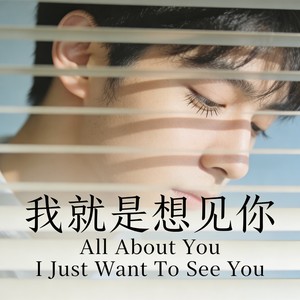 我就是想见你