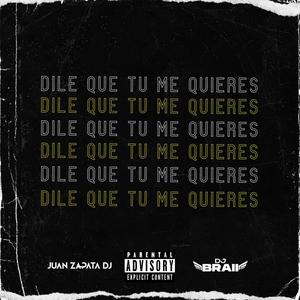 Dile Que Tu Me Quieres (feat. DJ Braii) (Explicit)