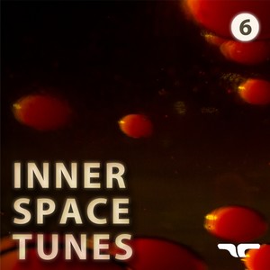 Inner Space Tunes 6