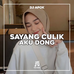 Sayang Culik Aku Dong
