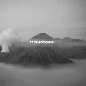 WildNess