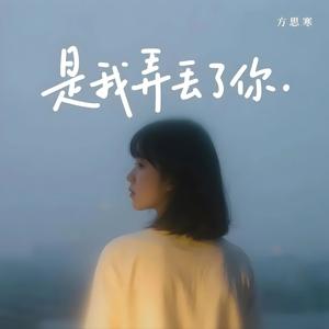 是我弄丢了你
