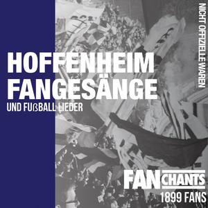 Hoffenheim Fangesänge und Fußball Lieder