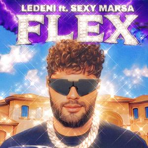 Flex (Explicit)