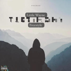 Little wayne (Freestyle) (Explicit)