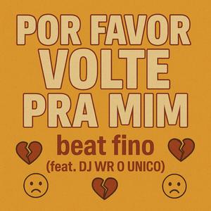 POR FAVOR VOLTE PRA MIM beat fino (feat. DJ WR O UNICO)