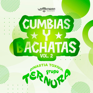 Cumbias y Bachatas Vol.2