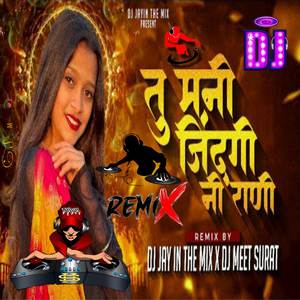 Tu Mani Zindagi Ni Rani 2.0  Dj Mix Remix