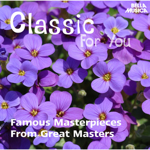 Piano Masterpieces: Mozart, Beethoven, Chopin, Liszt, Tchaikovsky And Others