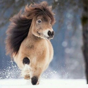 Mad for no reason (Explicit)