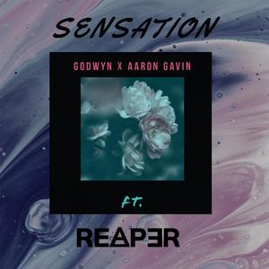 Sensation (feat. REAPER MUSIC) (Radio Edit)